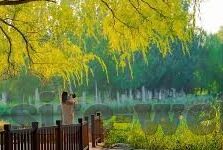 足球比分直播滚球-足球比分直播滚球，实时竞技的激情脉搏与策略博弈